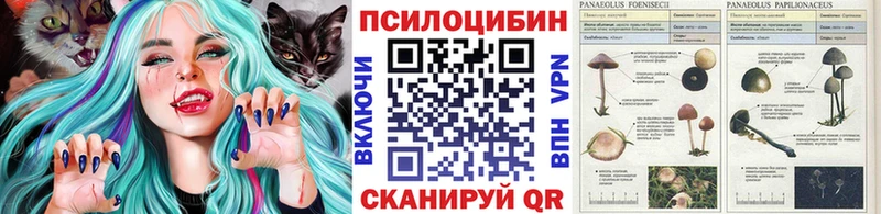 darknet как зайти  Северск  Псилоцибиновые грибы мицелий  кракен как войти 