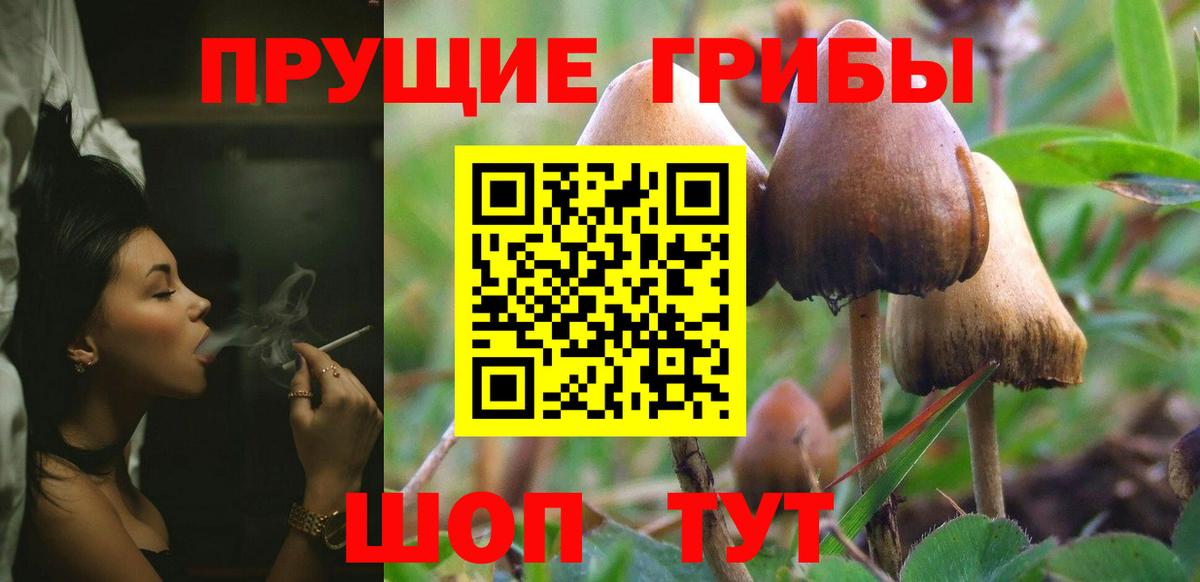 Галлюциногенные грибы мицелий Северск