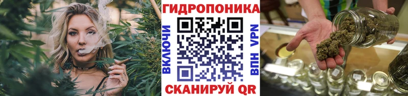 цена наркотик  Северск  Бошки Шишки ГИДРОПОН 