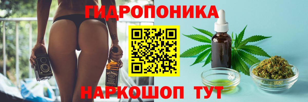 Бошки марихуана гибрид  Конопля конопля  Шишки марихуана AK-47  Вход с VPN  Канабис ГИДРОПОН  Северск 